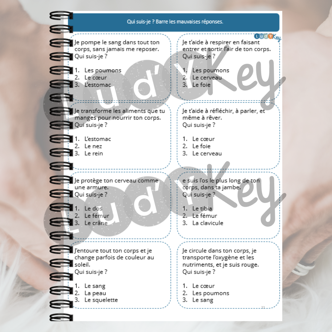 Cahier d'activités : le corps humain 6-8 ans – Image 3