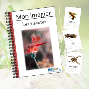 Imagier Montessori des Insectes