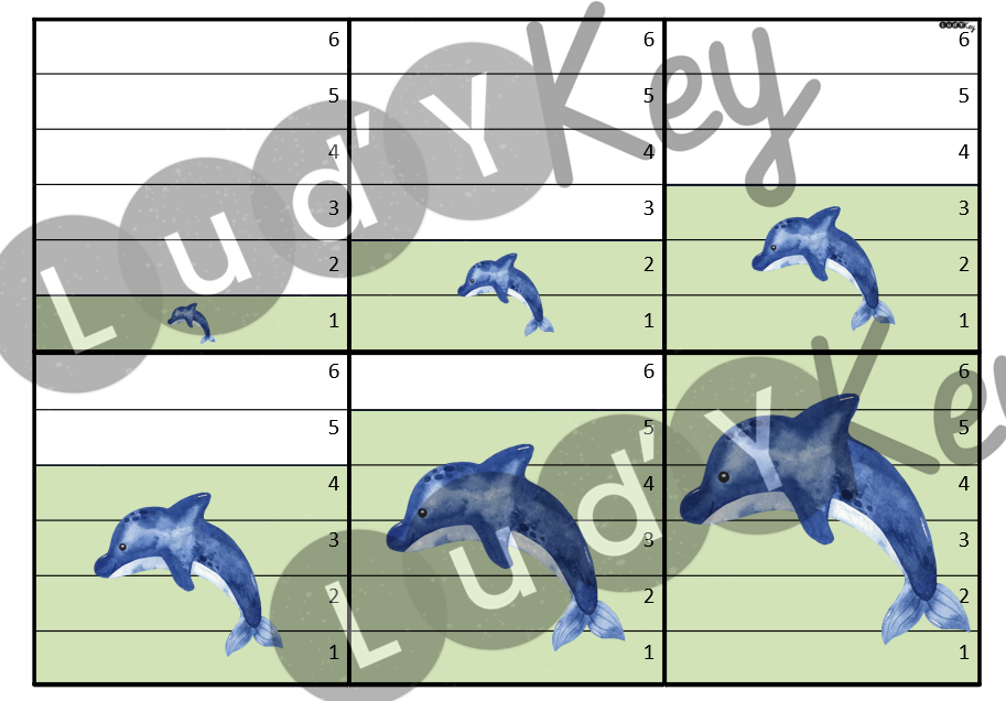 La bataille par taille des animaux marins – Image 2