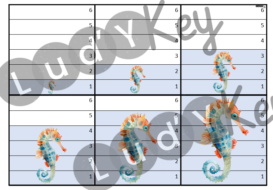 La bataille par taille des animaux marins – Image 3