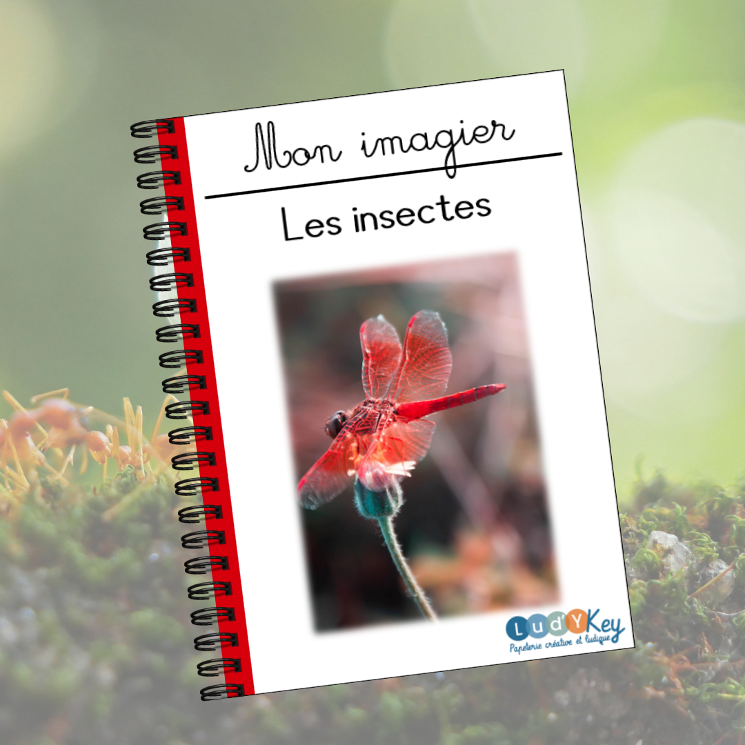 Imagier Montessori des Insectes