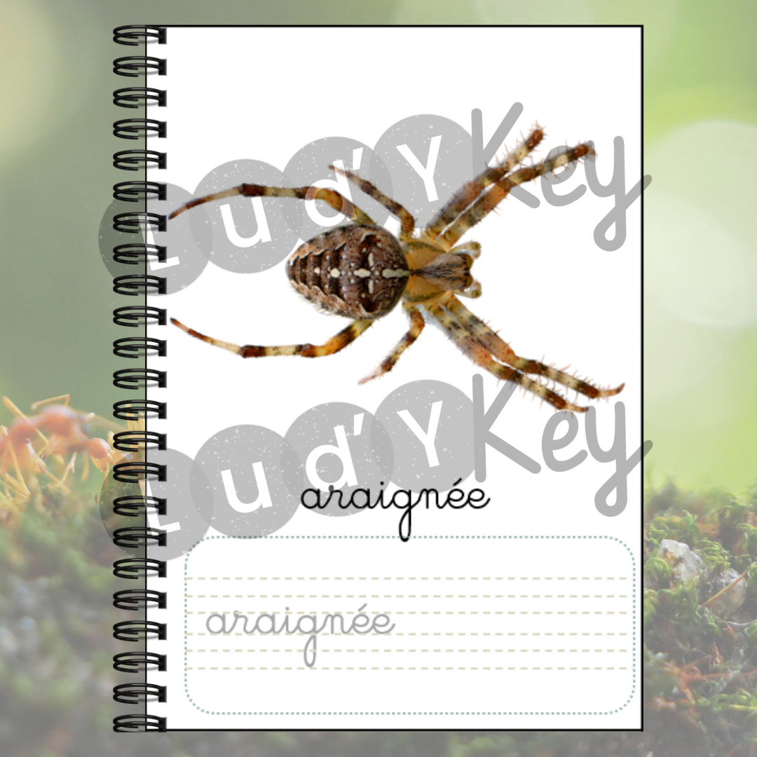 Imagier Montessori des Insectes – Image 3