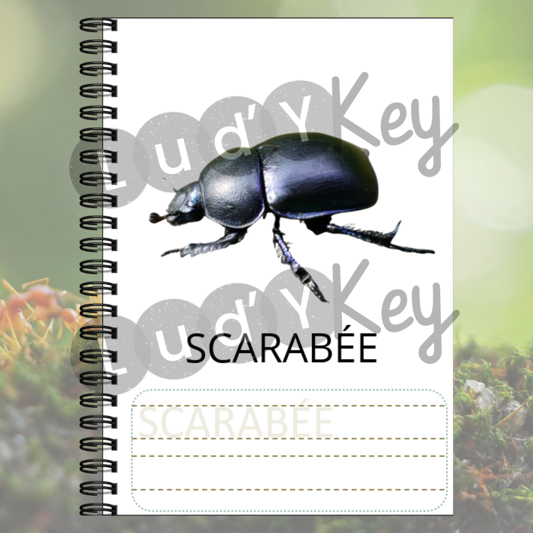 Imagier Montessori des Insectes – Image 2