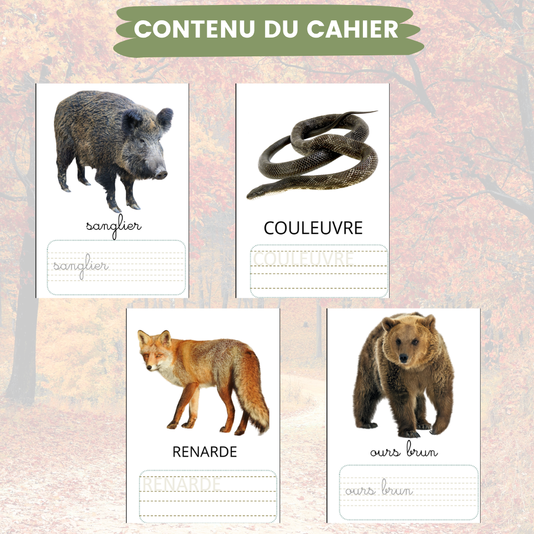 intérieur du Cahier d'écriture imagier montessori animaux de la foret