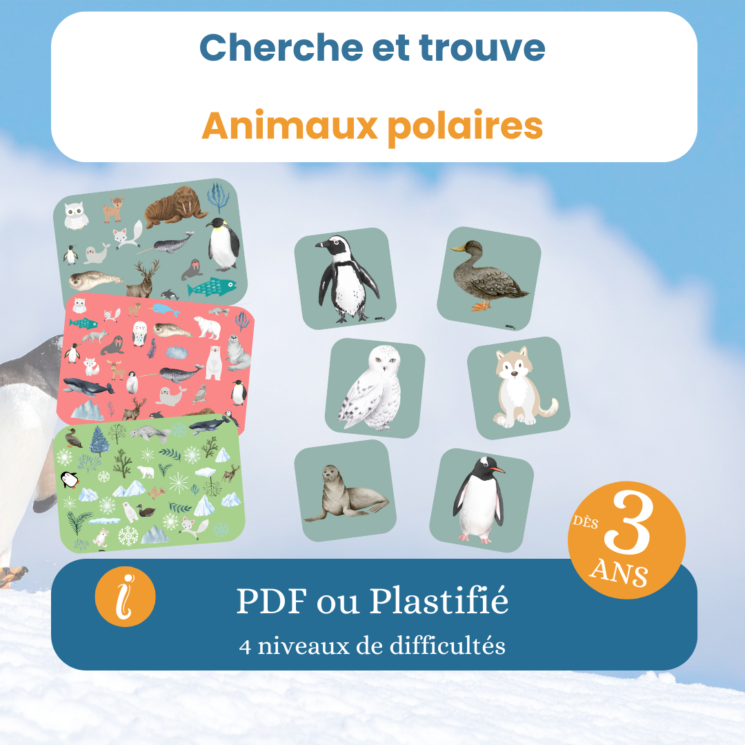 Cherche et trouve animaux polaires