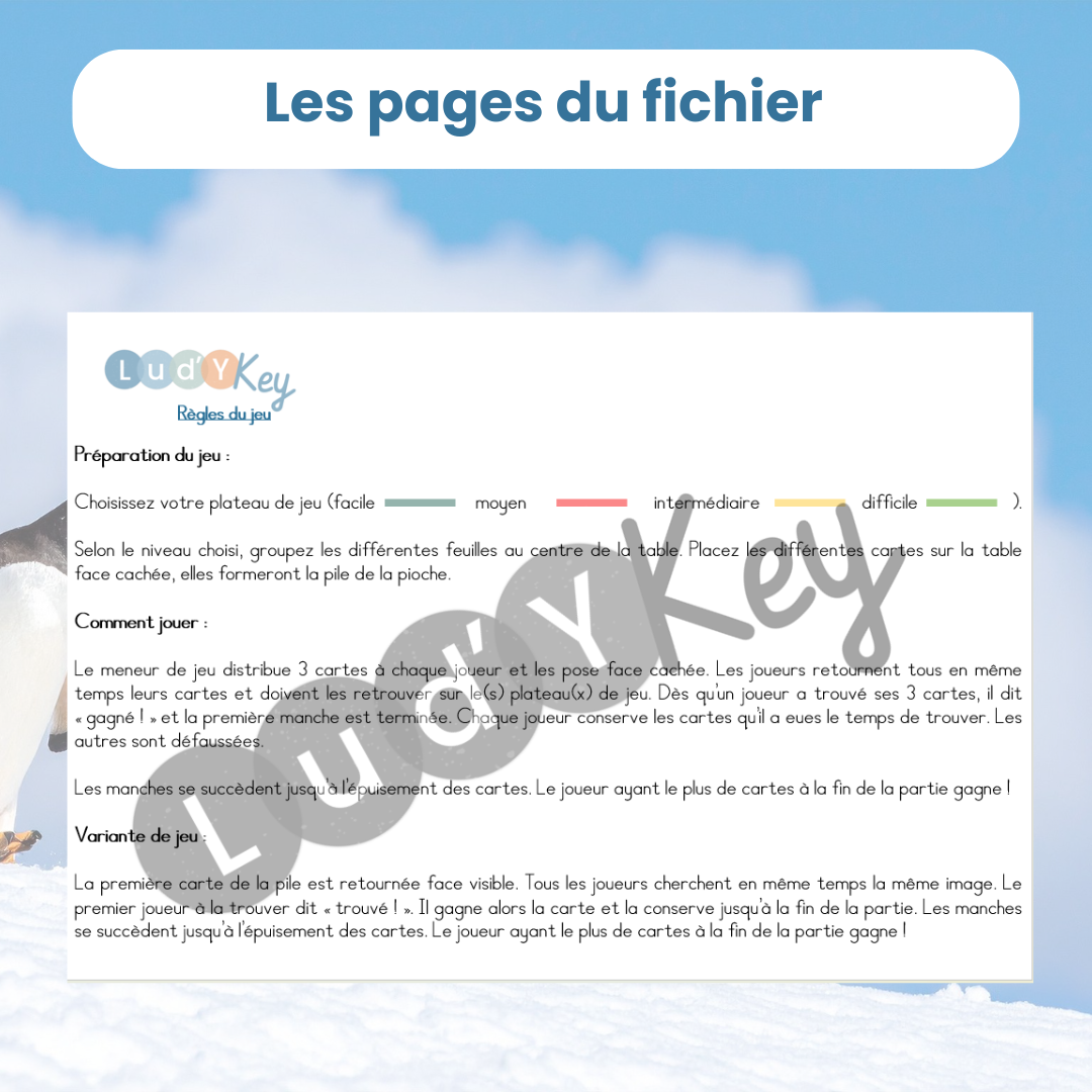 Cherche et trouve animaux polaires – Image 2