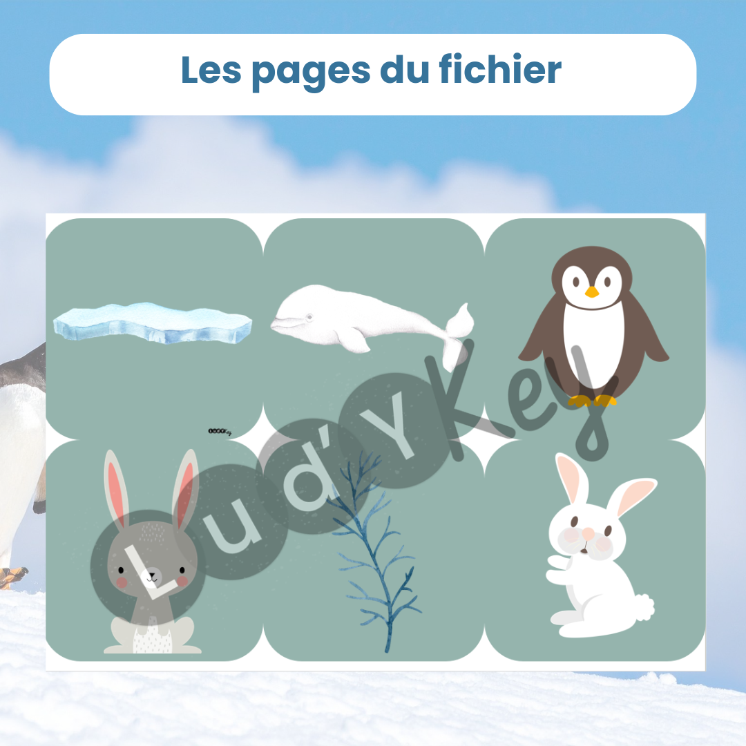 Cherche et trouve animaux polaires – Image 4