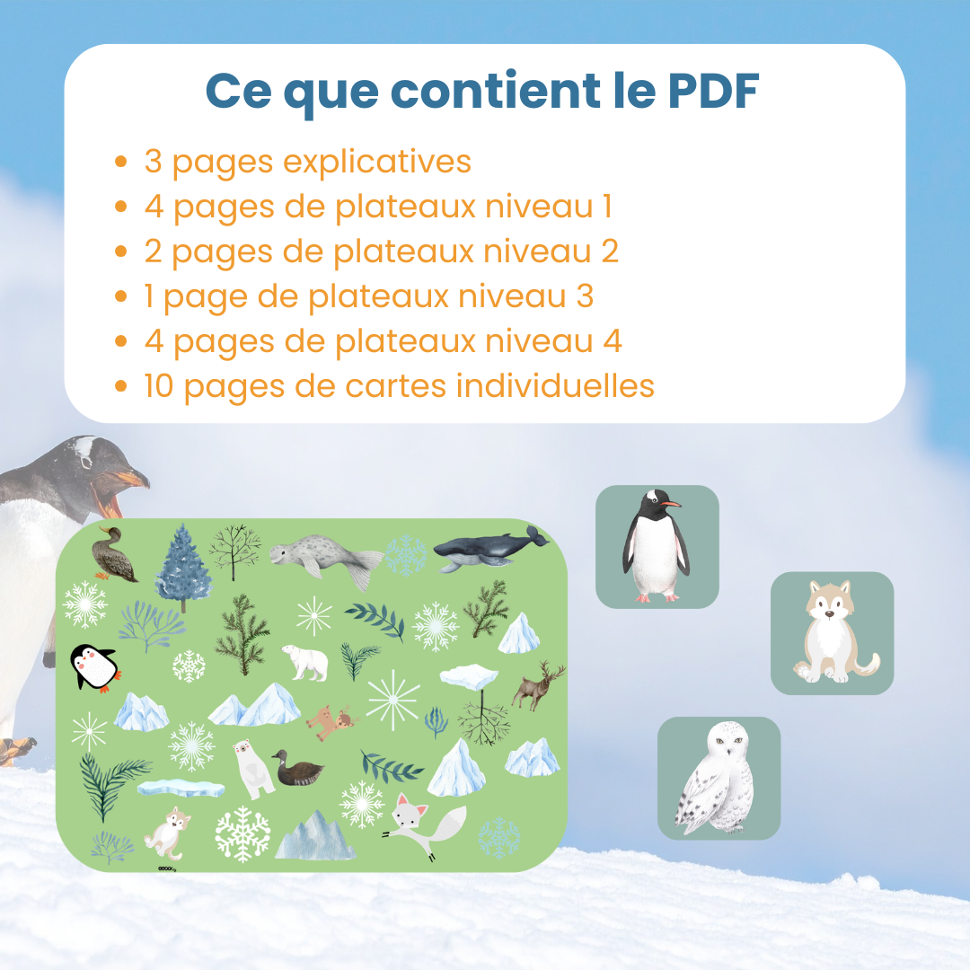 Cherche et trouve animaux polaires – Image 6