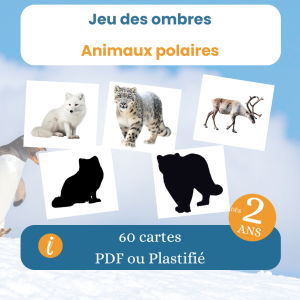 Jeu des ombres animaux polaires