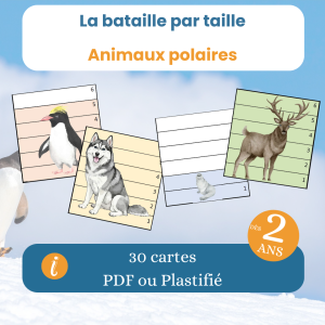 Jeu de bataille par taille – animaux polaires