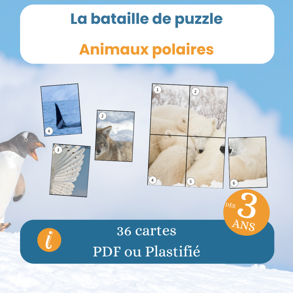 Coucou Animaux – Jeu électronique 20 Comptines, 3 Modes (découverte, Questions, écoute), Dès 2 Ans