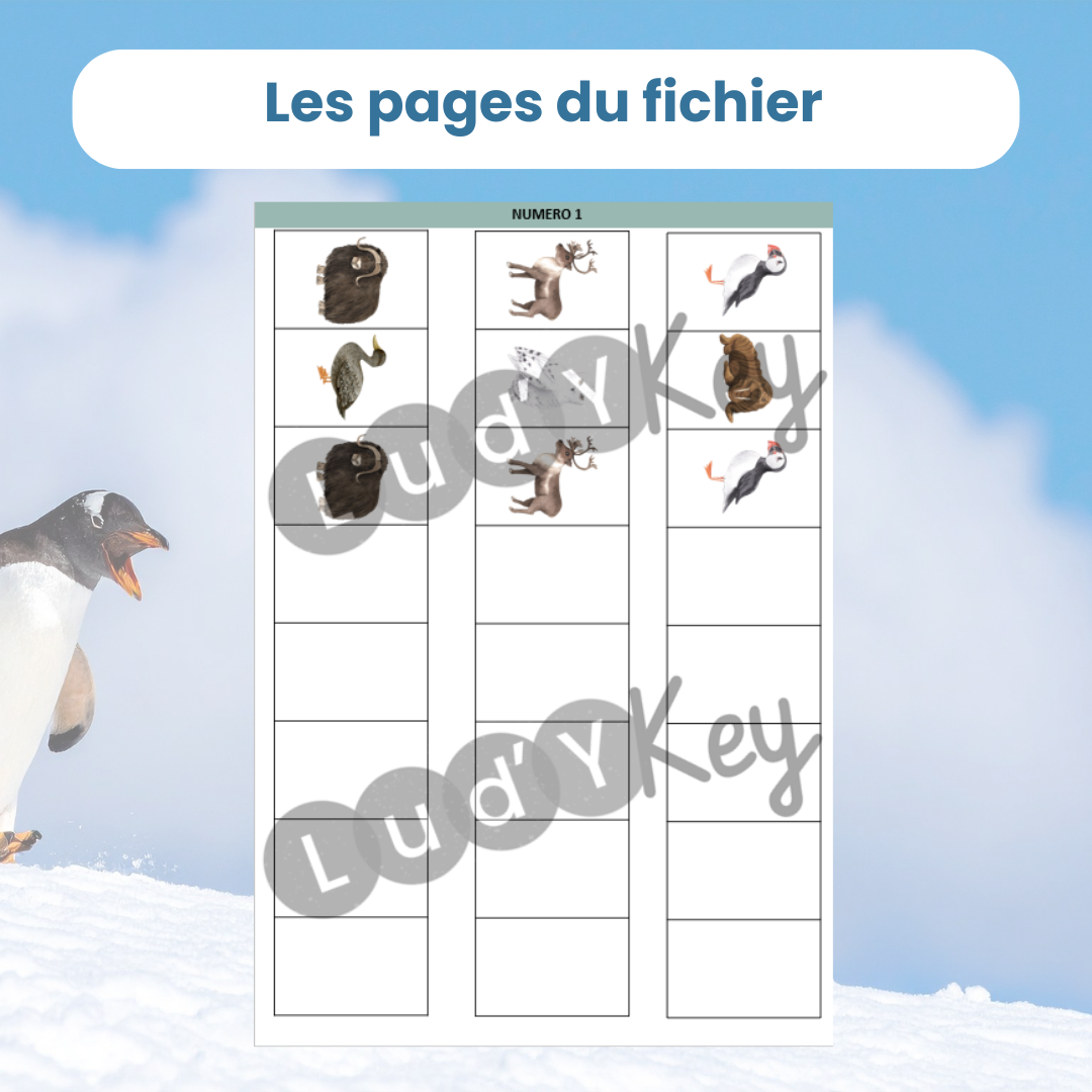 Algorithmes animaux polaires – jeu logique enfant – Image 2