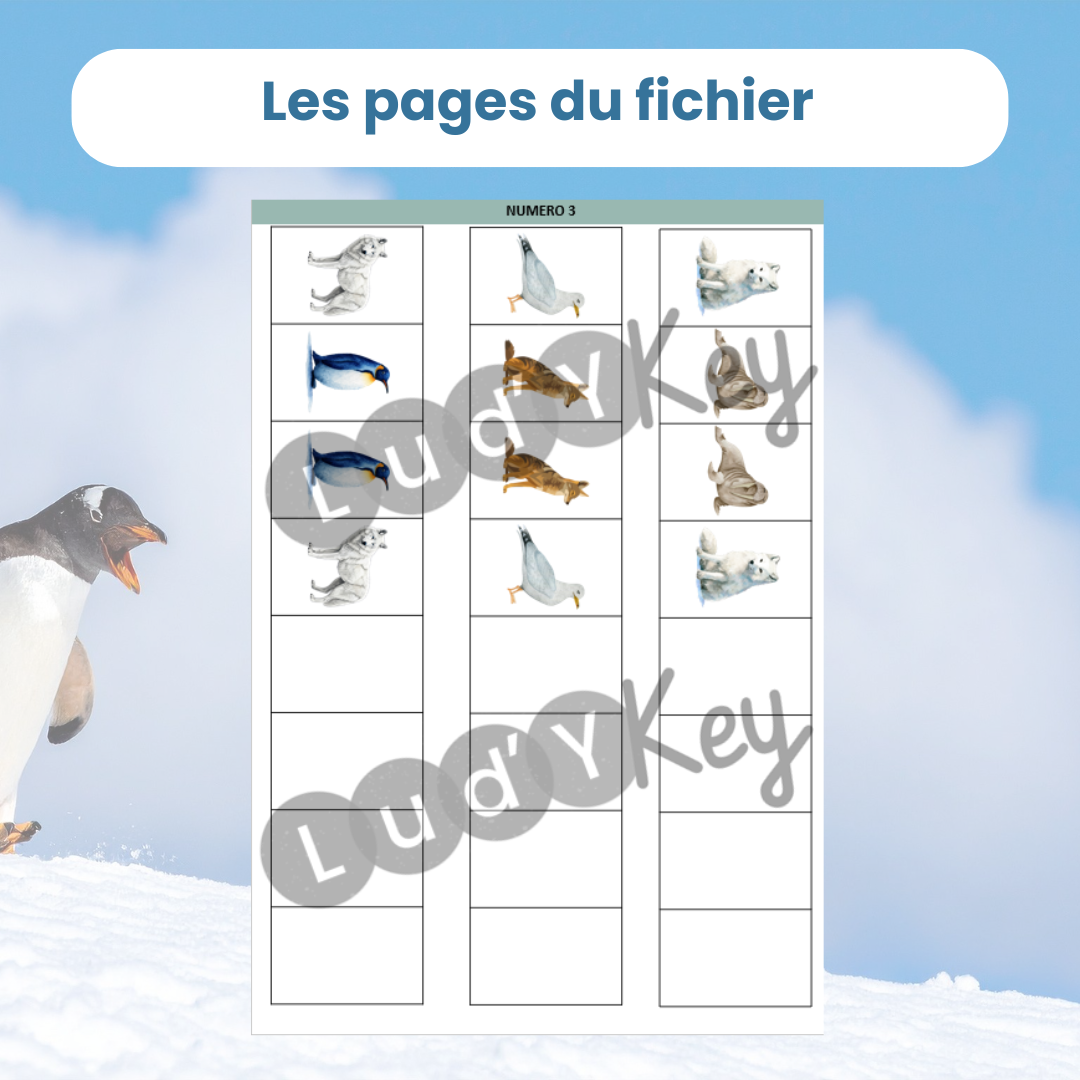 Algorithmes animaux polaires – jeu logique enfant – Image 3