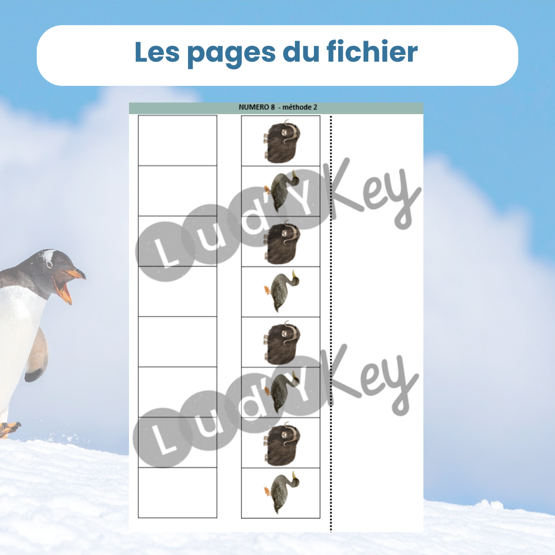 Algorithmes animaux polaires – jeu logique enfant – Image 4