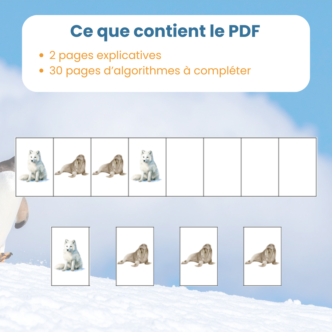 Algorithmes animaux polaires – jeu logique enfant – Image 6