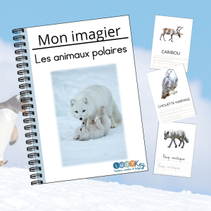 Cahier écriture animaux polaires – imagier