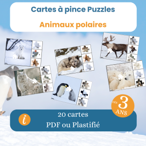 Cartes à pince puzzle animaux polaires