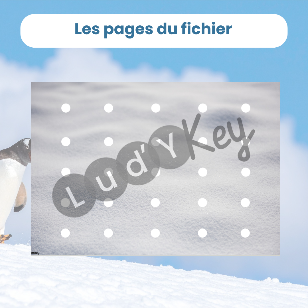 Jeu de comptage animaux polaires à imprimer – Image 2