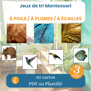 Jeu de tri Montessori animaux à poils plumes écailles