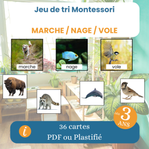 Jeu Montessori animaux marche nage vole