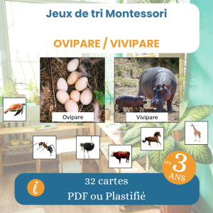 Jeu de tri Montessori ovipare vivipare PDF
