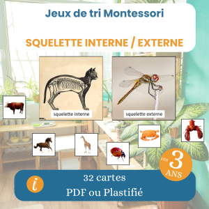 Jeu de tri Montessori squelette interne externe