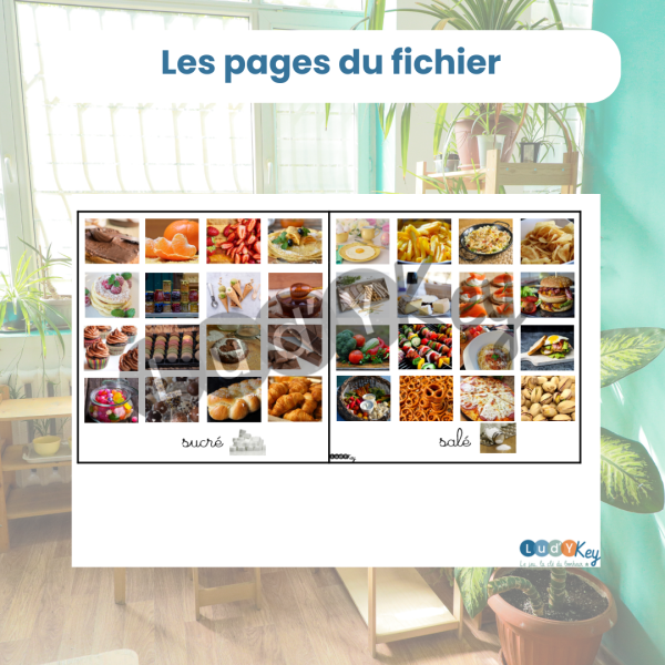 Learning Resources – Groupes Alimentaires à Trier – 21 Aliments – Dès 18 Mois