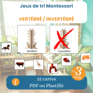 Jeu de tri Montessori vertébré invertébré