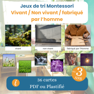 Jeu de tri Montessori Vivant Non vivant