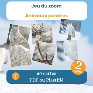 Jeu du zoom des animaux polaires