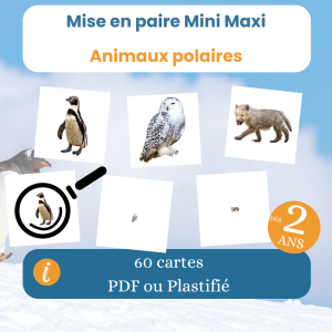 Jeu mini maxi animaux polaires Montessori