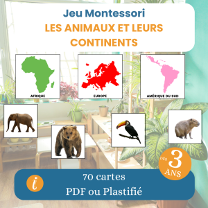 Jeu Montessori animaux continents