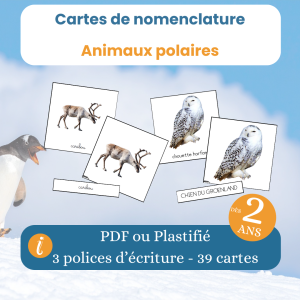 Cartes de nomenclature animaux polaires Montessori