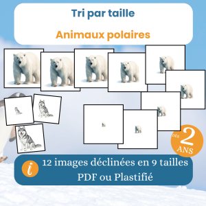Tri par taille animaux polaires – Jeu éducatif