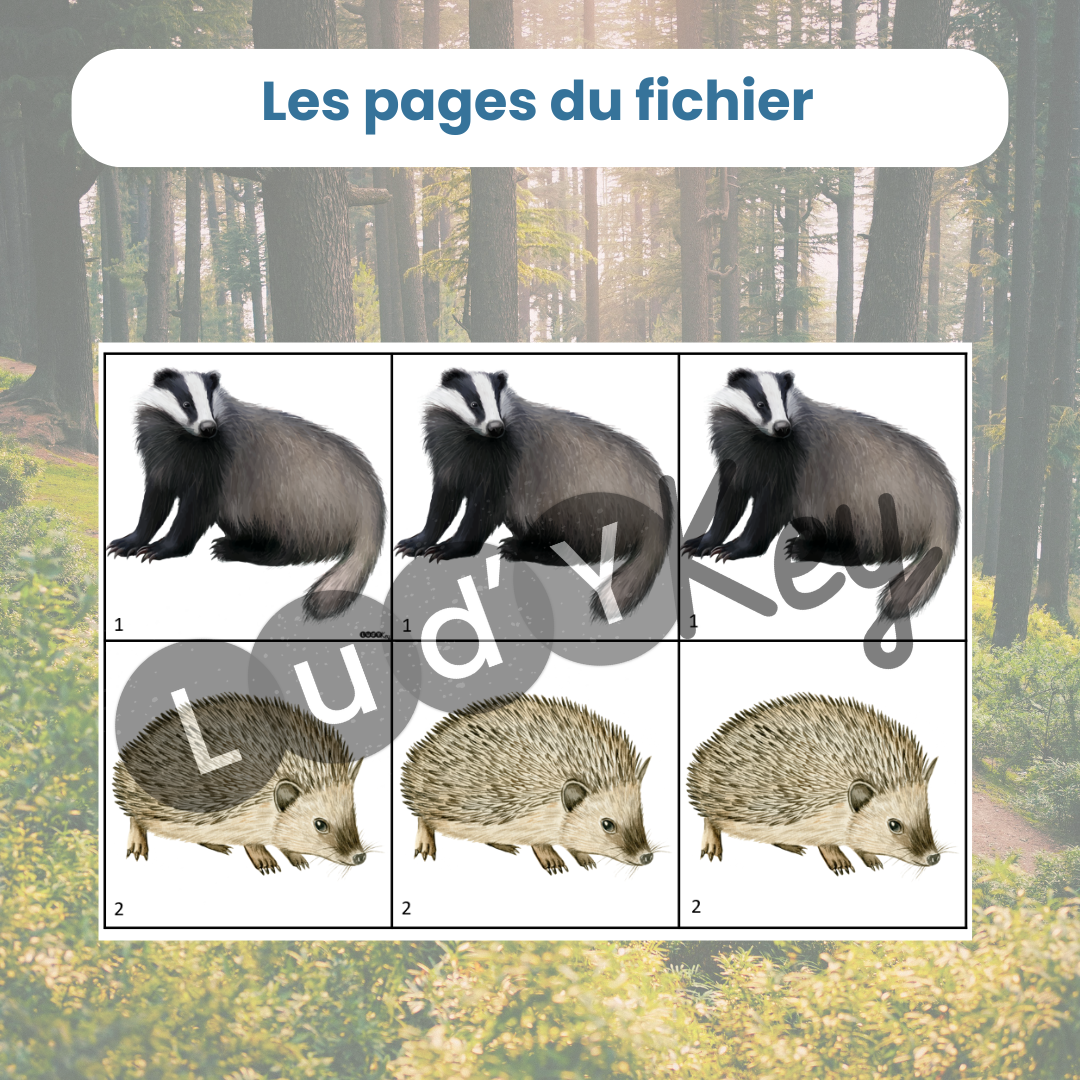 Jeu mathématiques animaux de la forêt Cross Line battle – Image 2