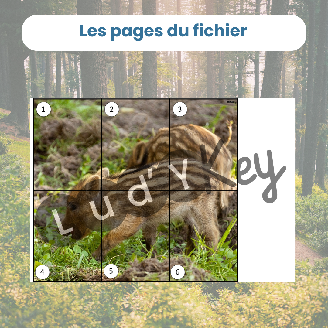 Bataille de puzzle animaux de la forêt – jeu éducatif – Image 2