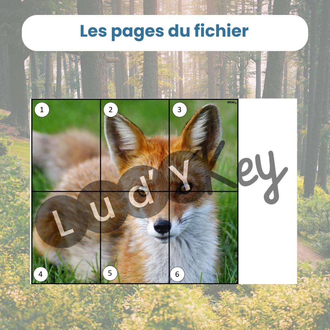 Bataille de puzzle animaux de la forêt – jeu éducatif – Image 3