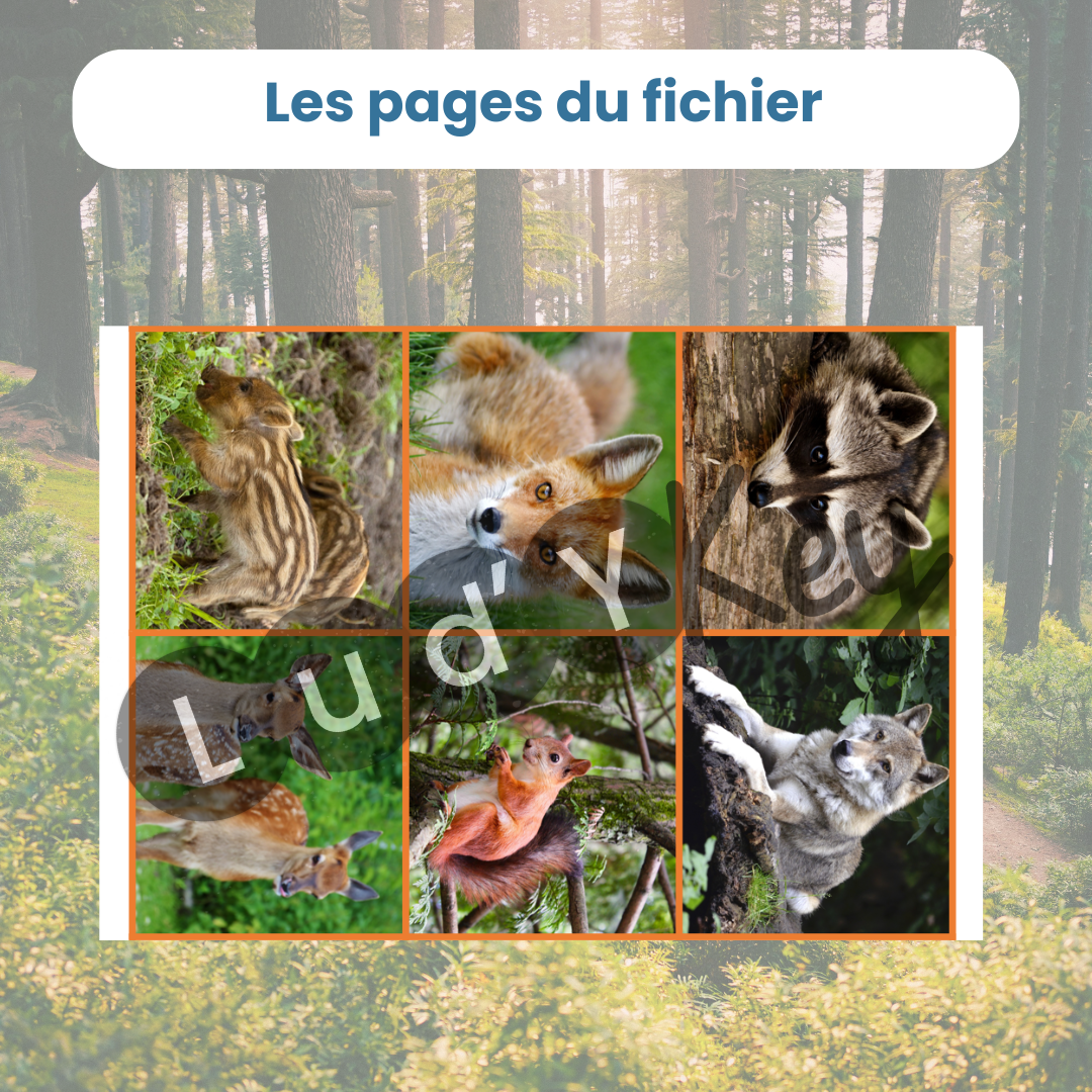 Bataille de puzzle animaux de la forêt – jeu éducatif – Image 4