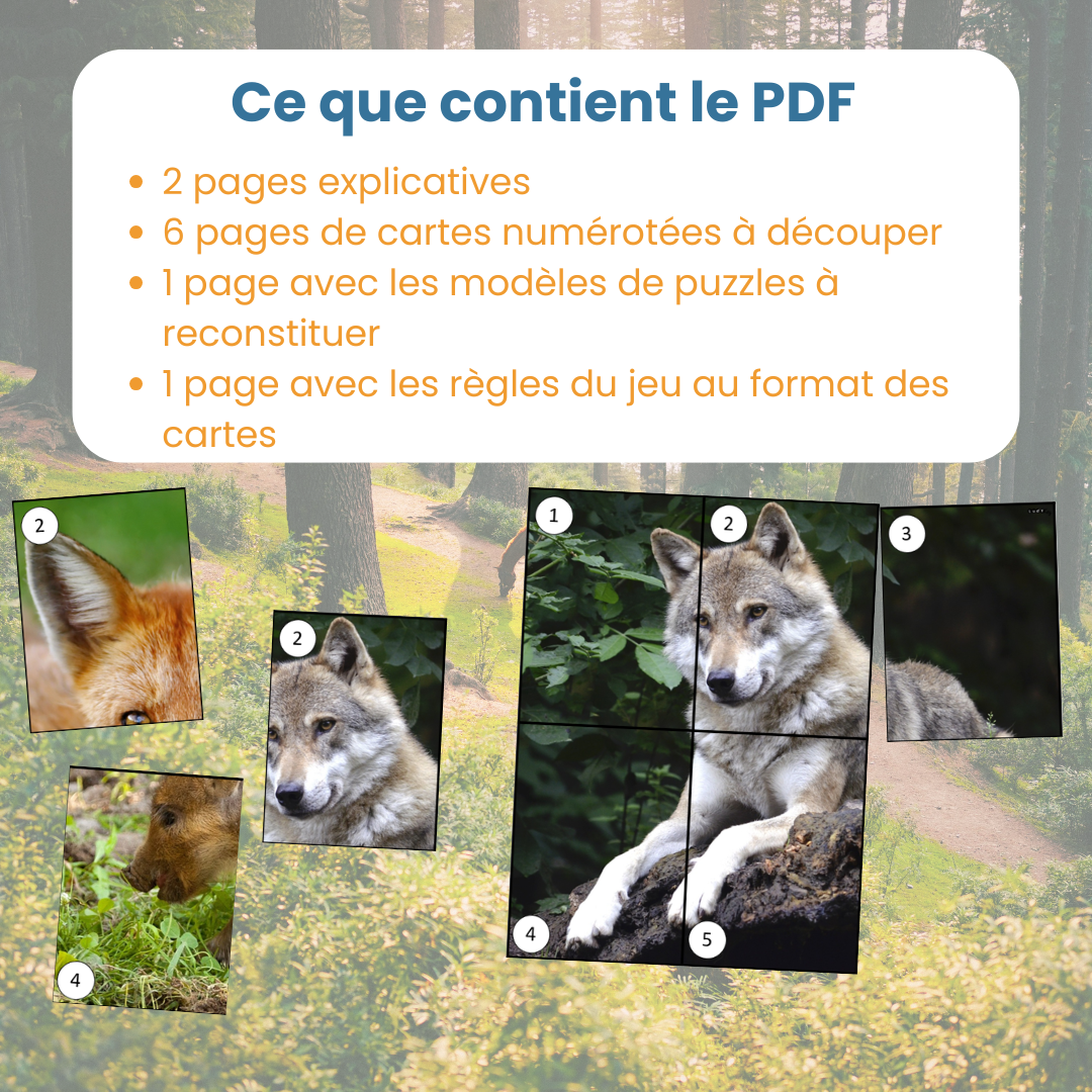 Bataille de puzzle animaux de la forêt – jeu éducatif – Image 6