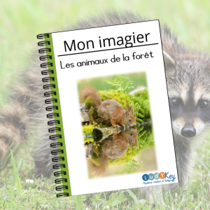 Cahier Ă©criture animaux de la forĂȘt â imagier