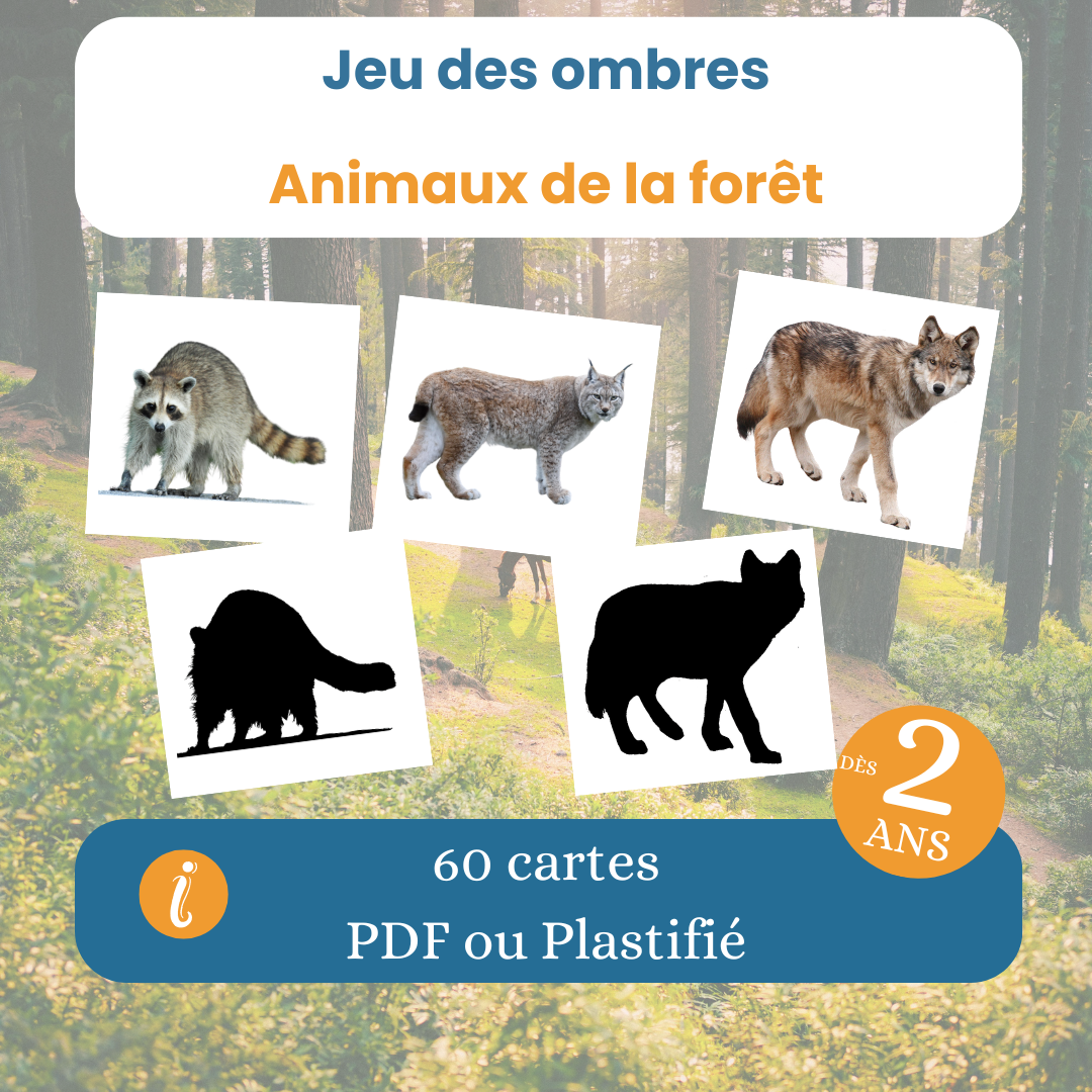 Jeu des ombres animaux de la forêt