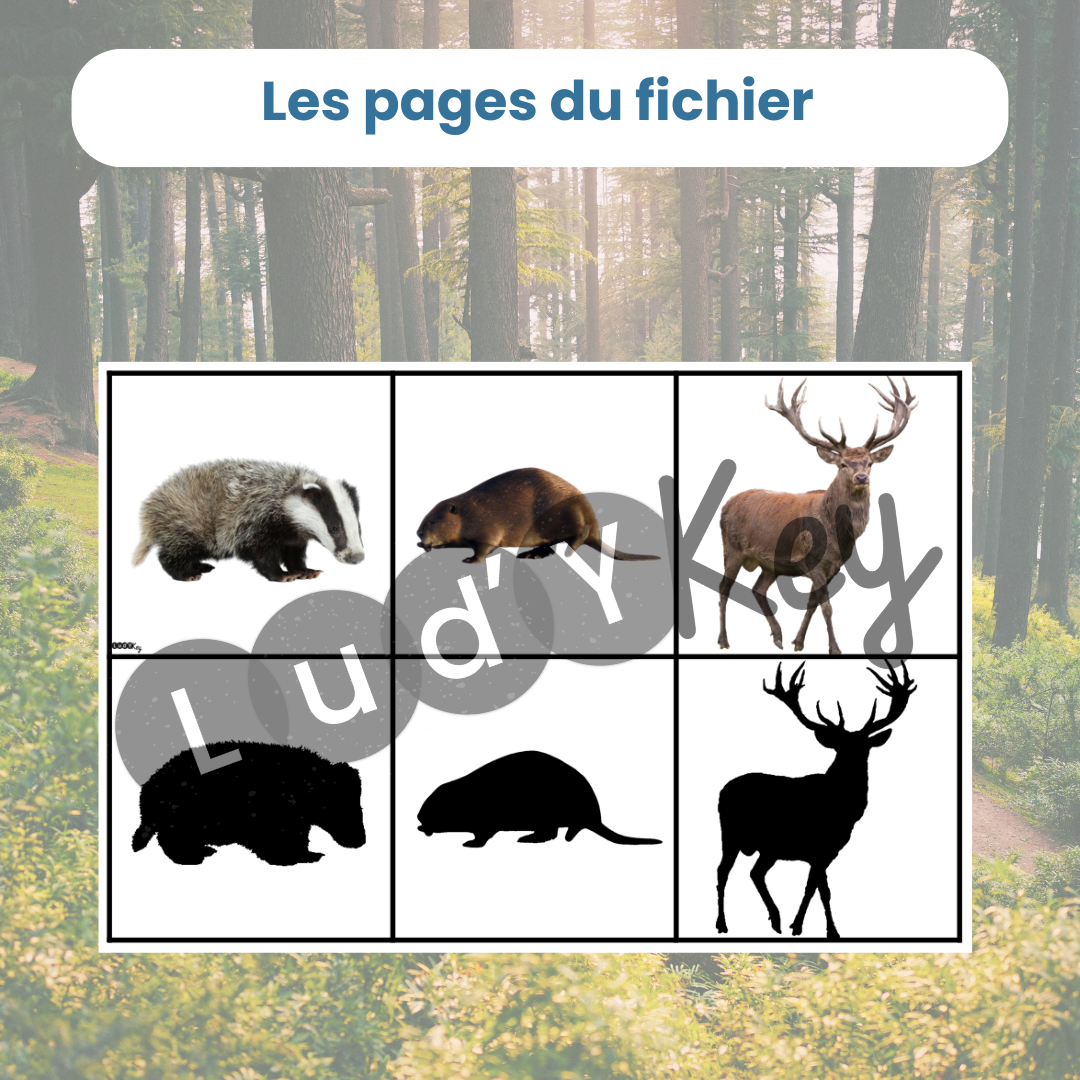 Jeu des ombres animaux de la forêt – Image 3