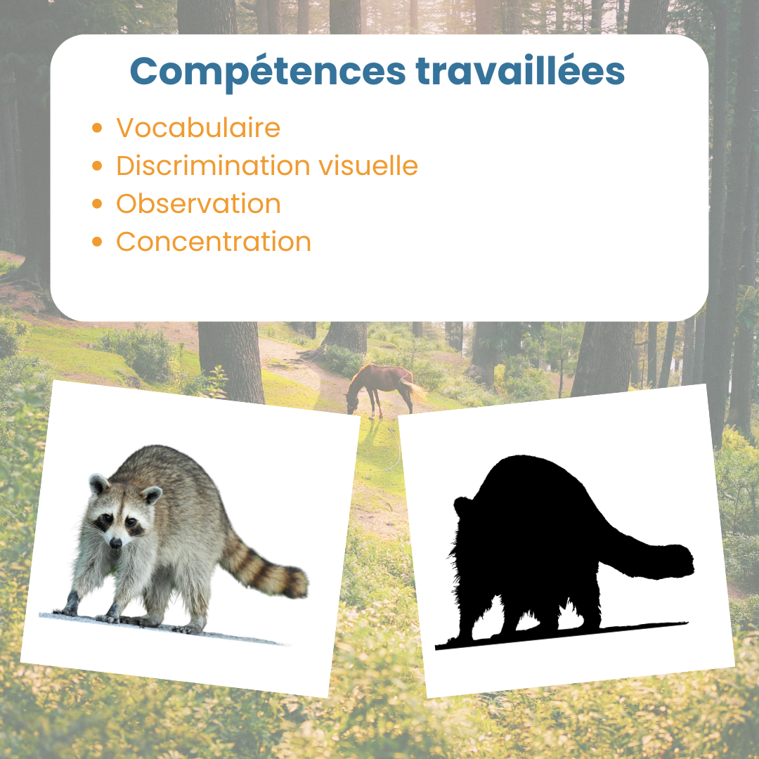 Jeu des ombres animaux de la forêt – Image 5