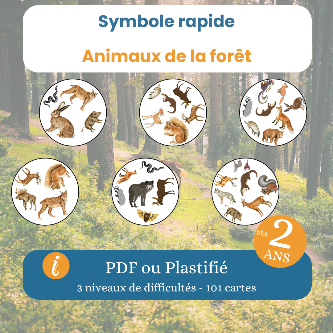 Jeu d’observation animaux de la forêt – Symboles