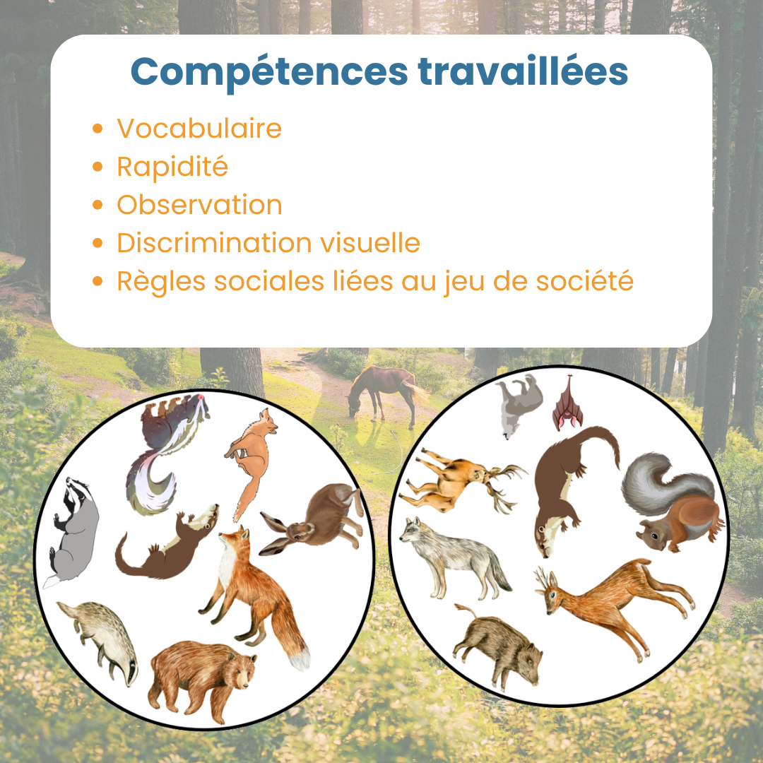 Jeu d’observation animaux de la forêt – Symboles – Image 5