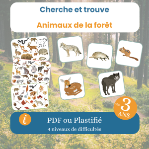 Cherche et trouve animaux de la forêt