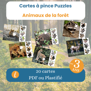 Cartes à pince puzzle animaux de la forêt