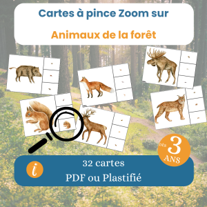 Cartes à pince animaux de la forêt – Jeu zoom