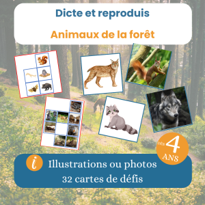Jeu dicte et reproduis animaux de la forêt