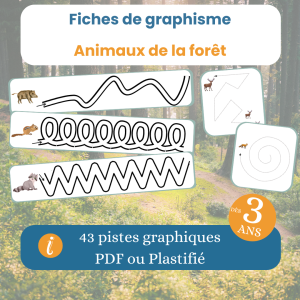 Fiches graphisme animaux de la forĂȘt â 43 pistes